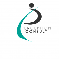 Perception Consult Ltd